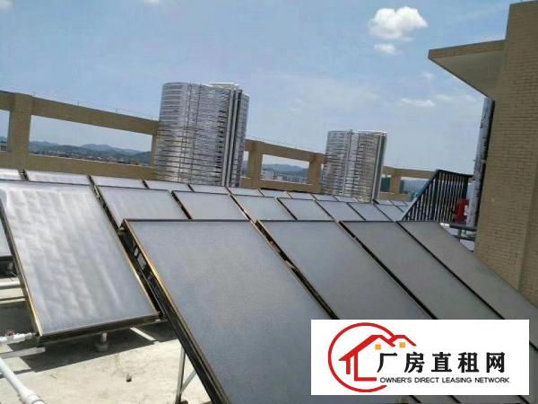 
		镇隆高速路口边，全新红本厂房出租
	