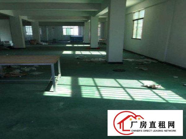 
		附近4楼1000方厂房出租可分可整租！
	