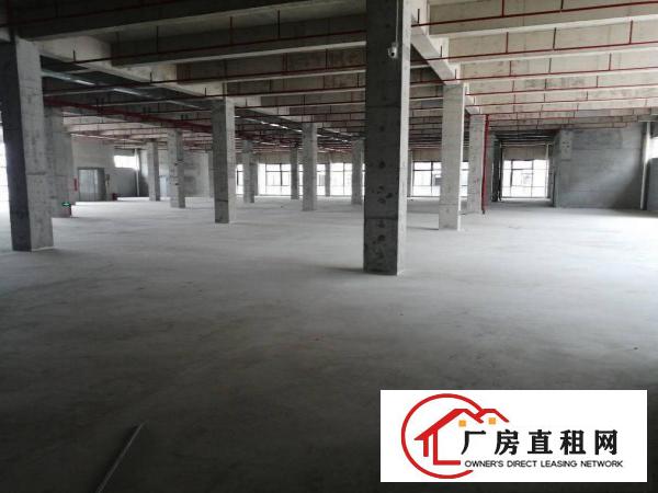 
		标准一楼厂房出租，面积990平方，高度6米，带消防
	
