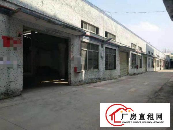 
		火爆招租，刚空出的原房东独院厂房（可分租）
	