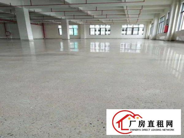 
		惠阳镇隆高速出全新工业园50000平米带房产证招租
	