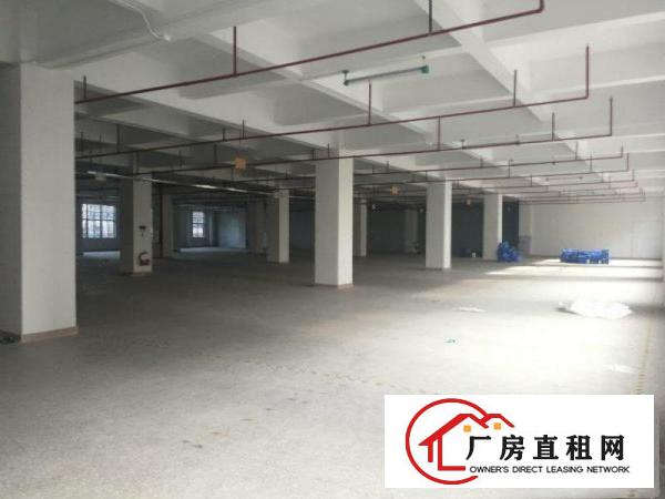 
		惠阳新圩原房东带红本独栋标准厂房4400出租
	