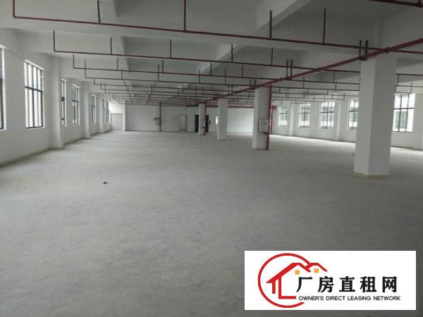
		惠阳新圩原房东带红本独栋标准厂房4400出租
	
