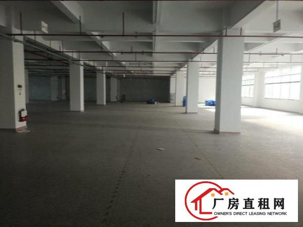 
		惠阳新圩原房东带红本独栋标准厂房4400出租
	