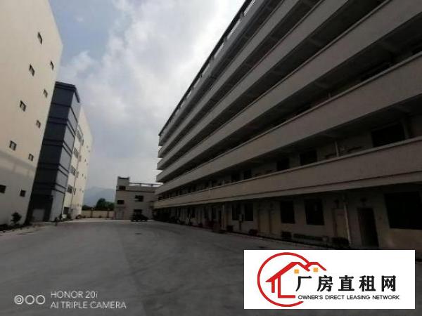 
		镇隆伯公坳高速口红本标准厂房50000平行业不限
	