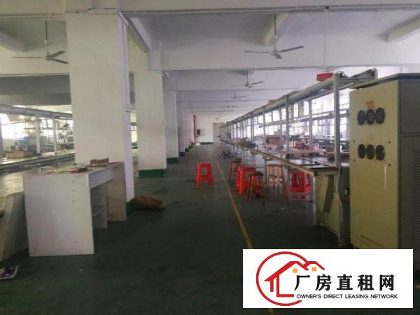 
		惠阳新圩一楼标准楼房500平方米
	