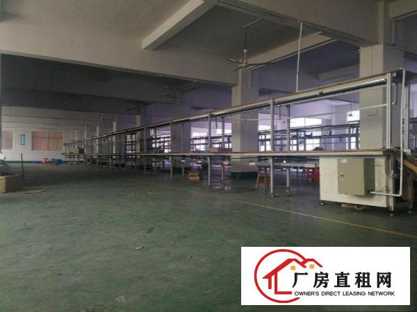 
		惠阳新圩一楼标准楼房500平方米
	