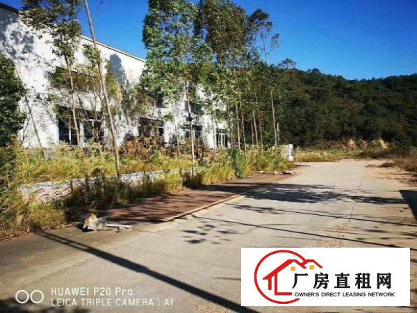 
		惠阳新圩长布钢构厂房一楼分租500平方
	