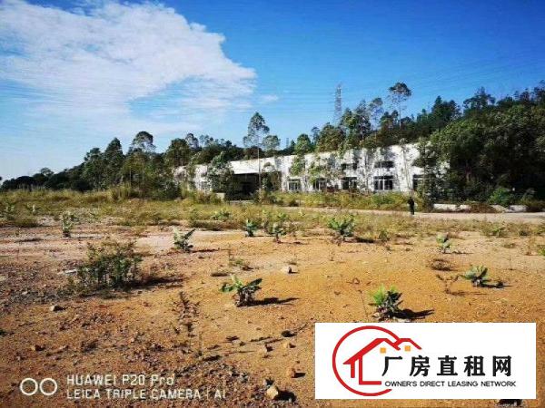 
		惠阳新圩长布钢构厂房一楼分租500平方
	