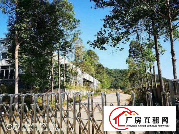 
		惠阳新圩长布钢构厂房一楼分租500平方
	