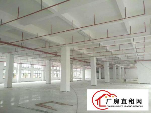 
		镇隆标准红本工业园50000平米出租（可分租可办环评）
	