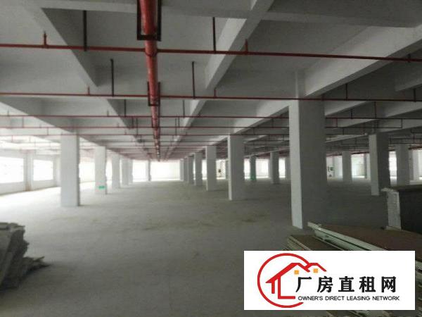 
		惠阳镇隆带红本35000平工业园厂房出租带消防喷淋可办环评
	