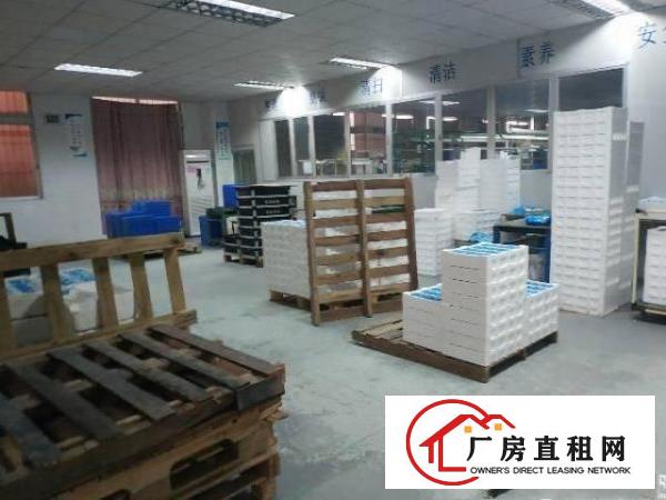 
		惠州仲恺区原房东一楼标准厂房出租带豪华装修
	