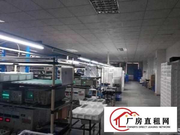 
		惠州仲恺区原房东一楼标准厂房出租带豪华装修
	