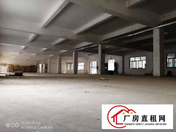 
		镇隆204国道边村委3300平标准厂房，无公摊可办证。
	