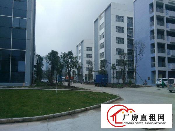 
		惠阳区镇隆万里工业区十万平米工业园出租
	