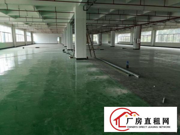 
		镇隆原业主独院1~4层标准厂房面积8000平米出租
	
