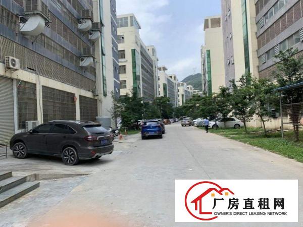 
		惠阳工业园新出带装修12楼1500可分层租
	