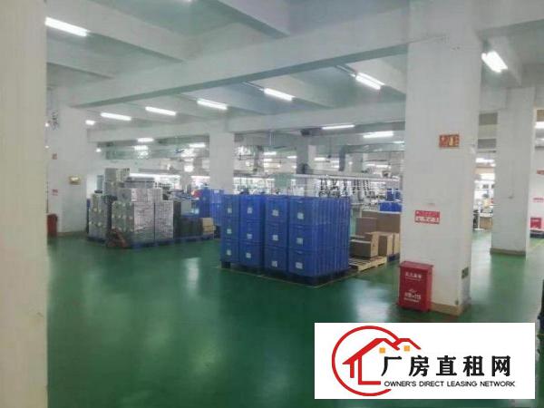 
		抢租！惠阳淡水新出2楼2400平精装修厂房出租可分租
	