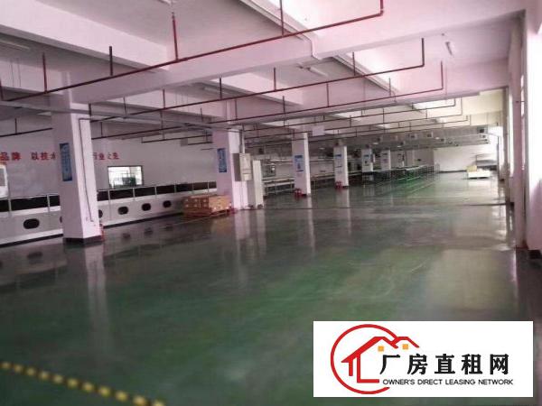 
		淡水白云坑工业园精装修厂房1850平米
	
