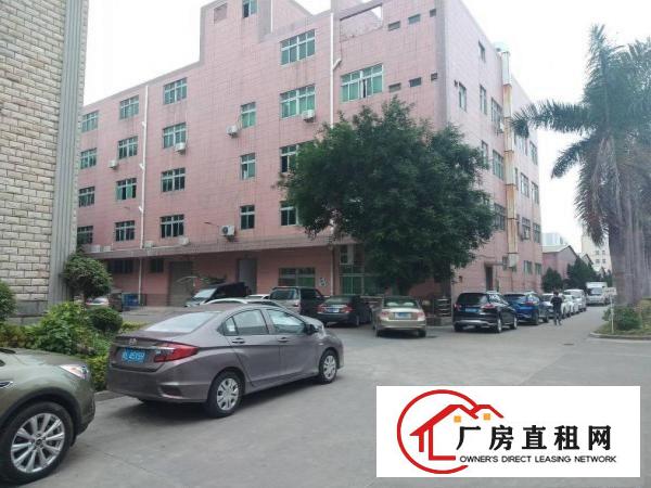 
		惠阳秋长带红本标准一楼300平
	