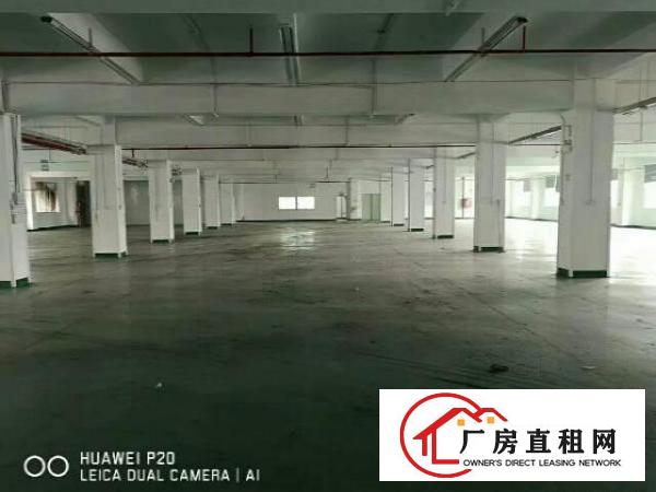 
		惠阳秋长白石新出独院标准三层厂房2600平，有配套宿舍
	