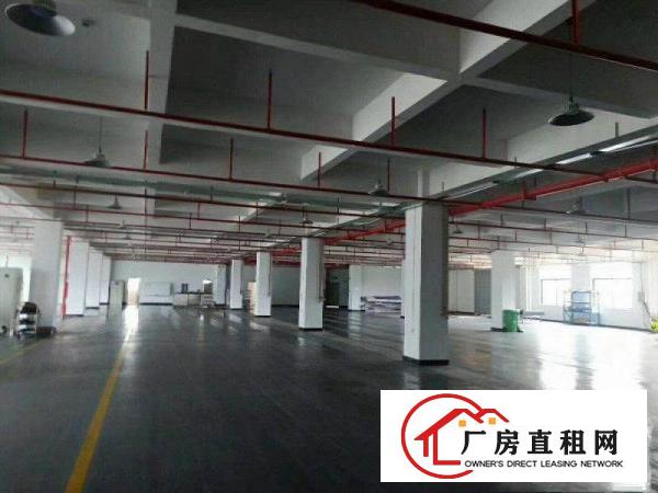 
		新出惠阳白石工业园里一楼950平米带装修厂房
	