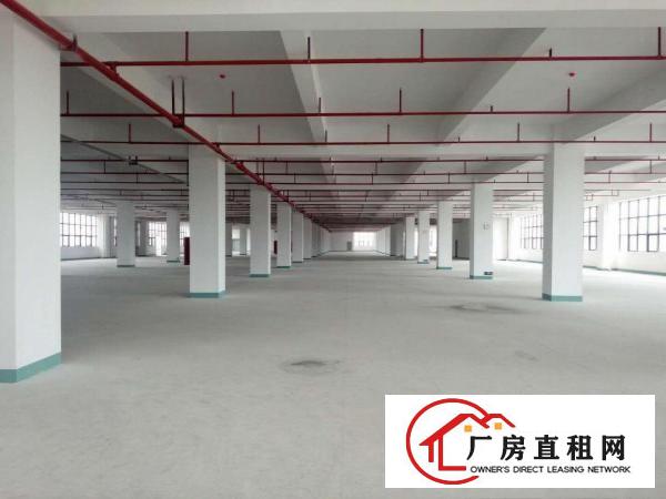 
		惠阳区工业园内8000平标准厂房，小600起分租
	