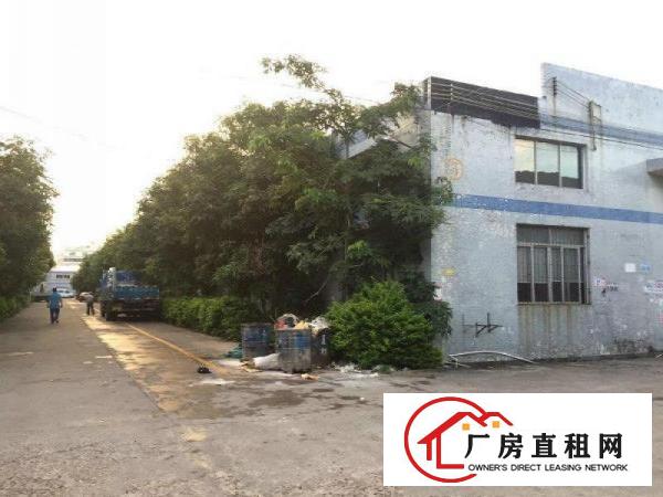 
		惠阳秋长原房东钢构600平出租无公摊滴水7米带装修配电按需
	