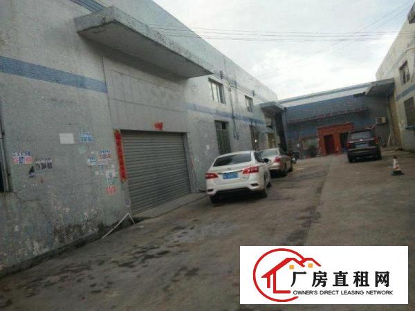 
		惠阳秋长原房东钢构600平出租无公摊滴水7米带装修配电按需
	