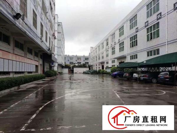 
		(大小分租)惠阳淡水高速口附近红本工业园12000平方
	