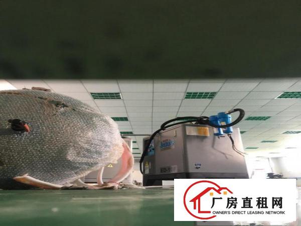 
		白石新出楼上650平米带地坪漆办公室招租
	