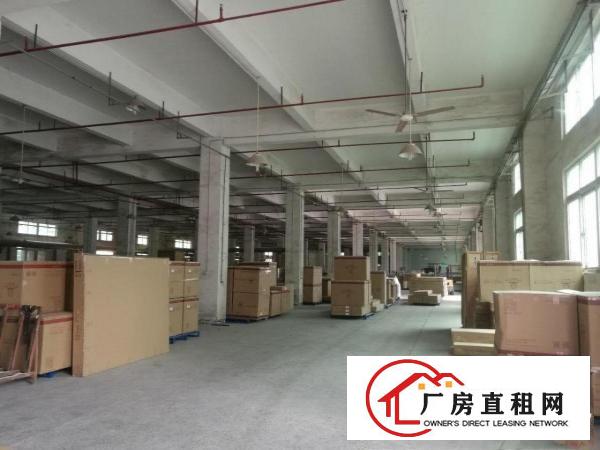
		秋长白石33000平米标准厂房大小分租带喷油房
	