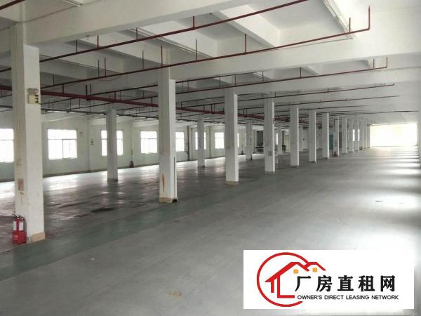 
		惠州小金口新出红本标准独院厂房6800平方出租
	