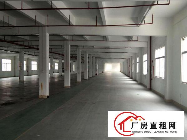 
		惠州小金口新出红本标准独院厂房6800平方出租
	