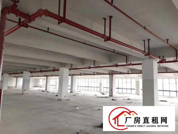 
		惠阳邻深片区原房东新建高薪产业园招租价格实在无公摊
	