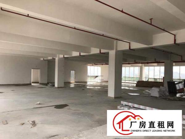 
		惠阳邻深片区原房东新建高薪产业园招租价格实在无公摊
	