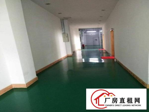 
		(红本厂房)惠阳秋长新塘工业园分租C栋一至二楼4400平
	