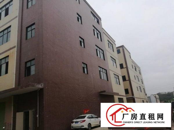 
		已装好带消防喷淋办公室带主线路3200平标准厂房
	
