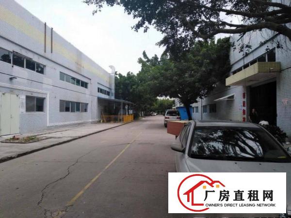 
		原房东全新带红本钢结构厂房出租
	