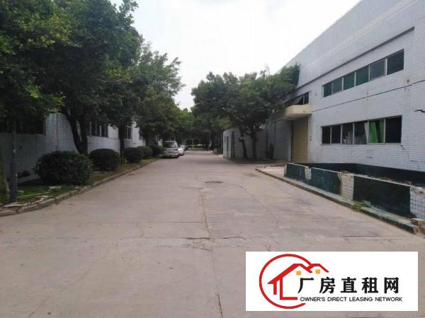 
		原房东全新带红本钢结构厂房出租
	
