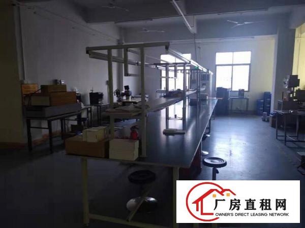 
		450平无公摊带现成装修惠阳秋长秋宝路边上三相电2吨电梯
	