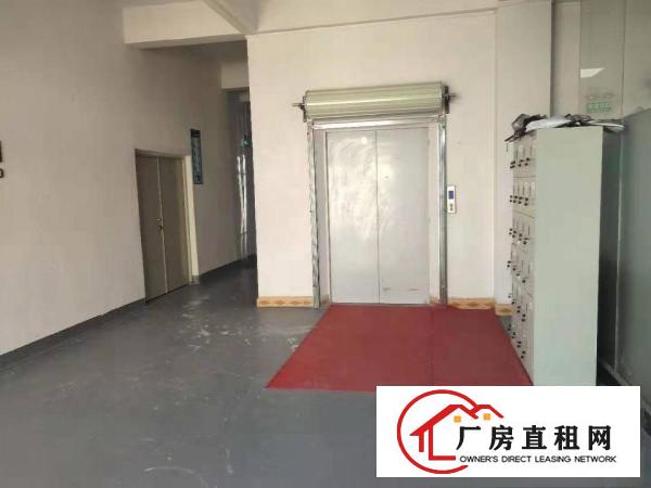 
		450平无公摊带现成装修惠阳秋长秋宝路边上三相电2吨电梯
	