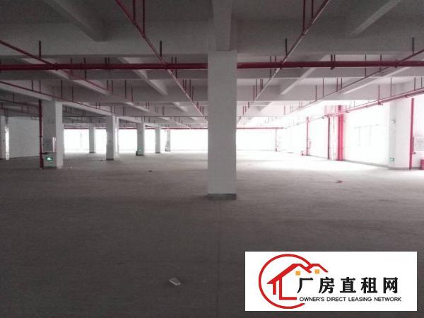 
		全新厂房单层8500平4部3吨货梯三证齐全三和经济开发区
	