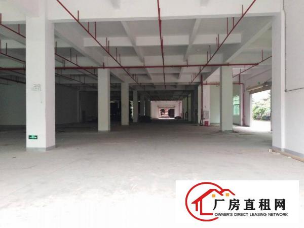
		全新厂房单层8500平4部3吨货梯三证齐全三和经济开发区
	