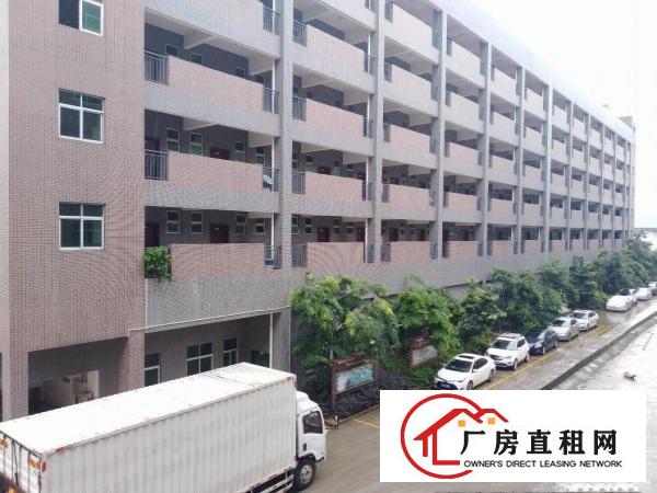 
		全新厂房单层8500平4部3吨货梯三证齐全三和经济开发区
	