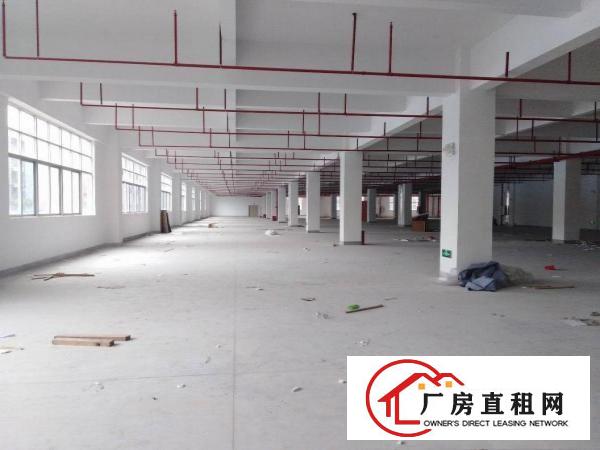 
		全新厂房单层8500平4部3吨货梯三证齐全三和经济开发区
	
