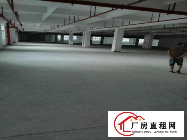 
		带消防！惠阳三和全新工业园招租！
	