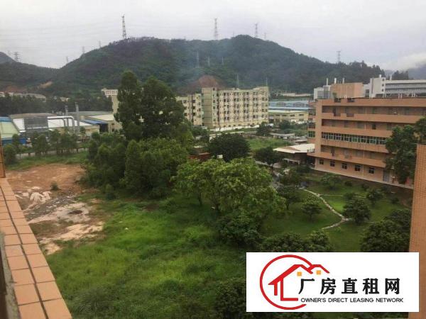 
		全新原房东独门独院标准厂房出租
	