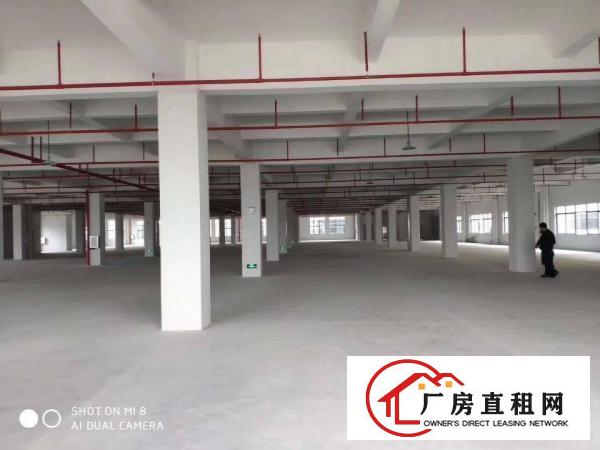 
		全新原房东独门独院标准厂房出租
	